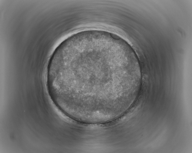X0000112031523200908311205