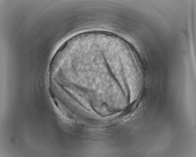 X0000112031524200908311205