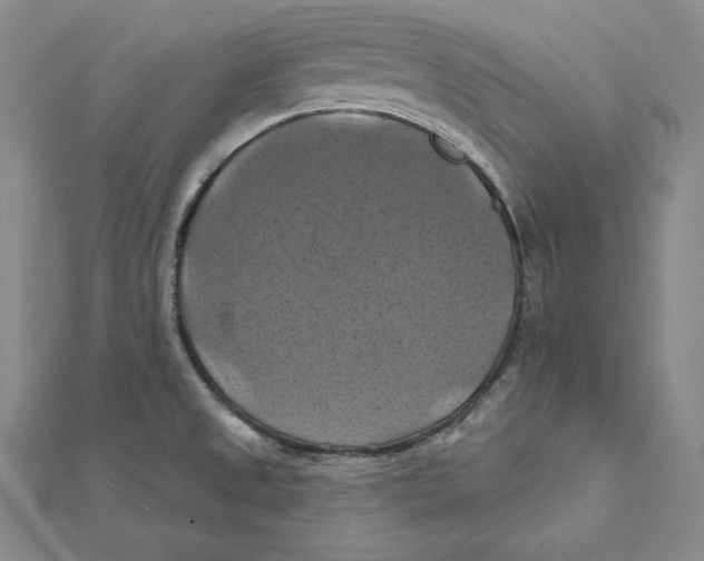 X0000112031525200908311205