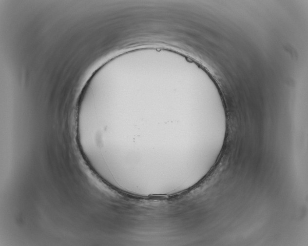 X0000112031526200908311205