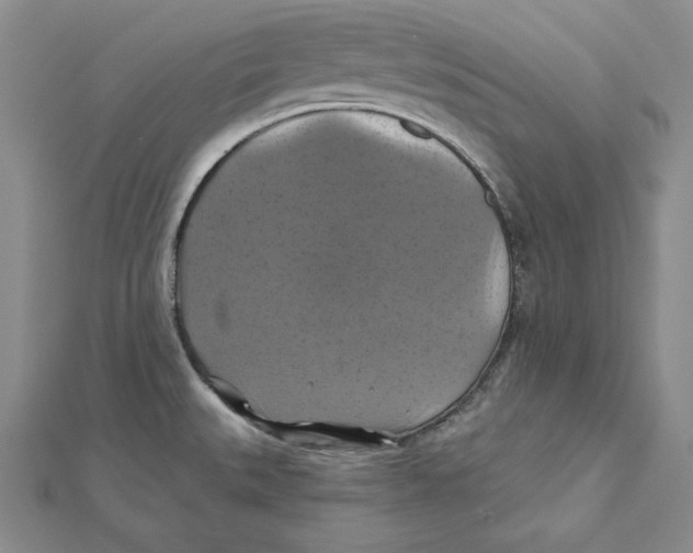 X0000112031527200908311205