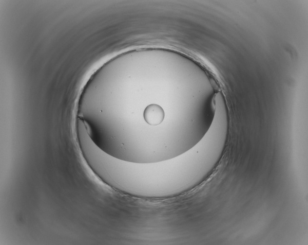 X0000112031528200908311205