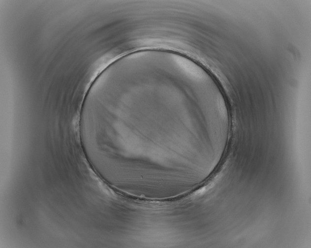 X0000112031529200908311205