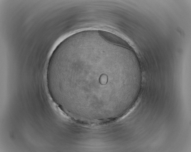 X0000112031530200908311205
