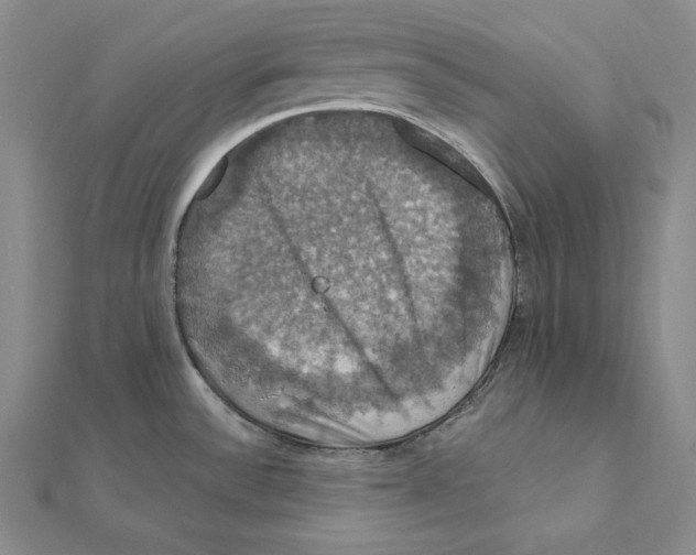 X0000112031532200908311205