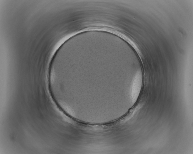 X0000112031533200908311205
