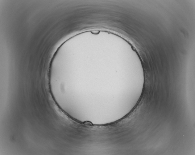 X0000112031534200908311205