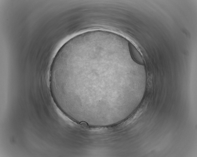 X0000112031535200908311205