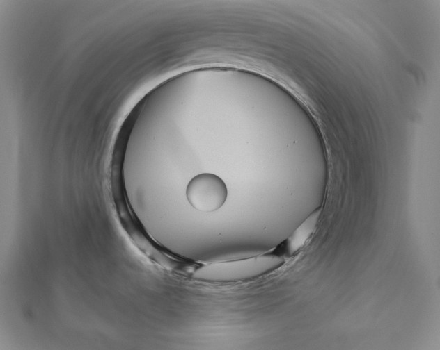 X0000112031536200908311205