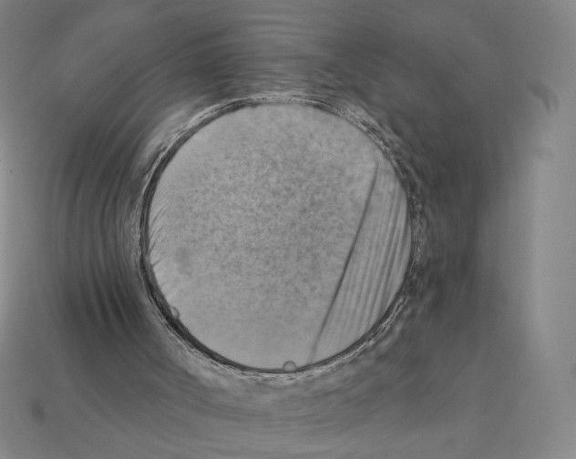 X0000112030002200909141106