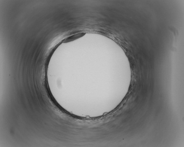 X0000112030005200909141106