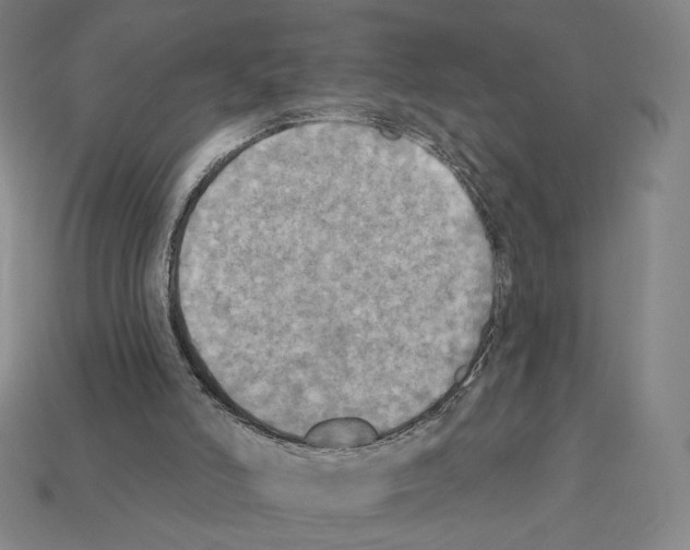 X0000112030006200909141106