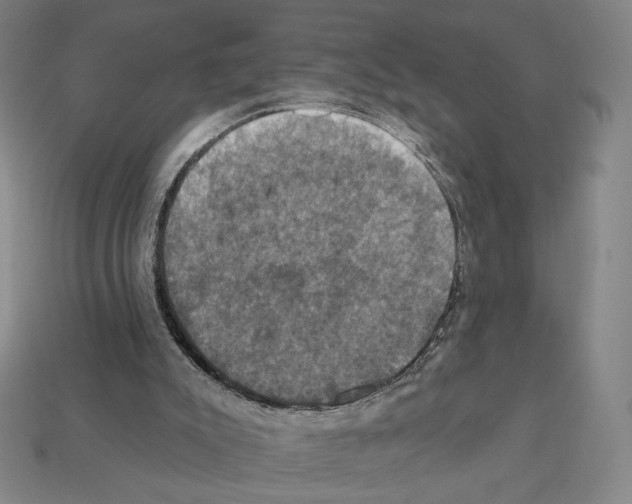 X0000112030007200909141106