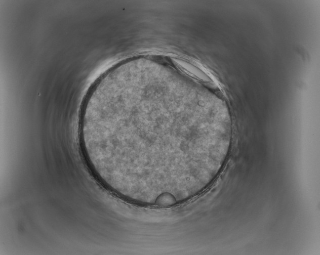 X0000112030008200909141106