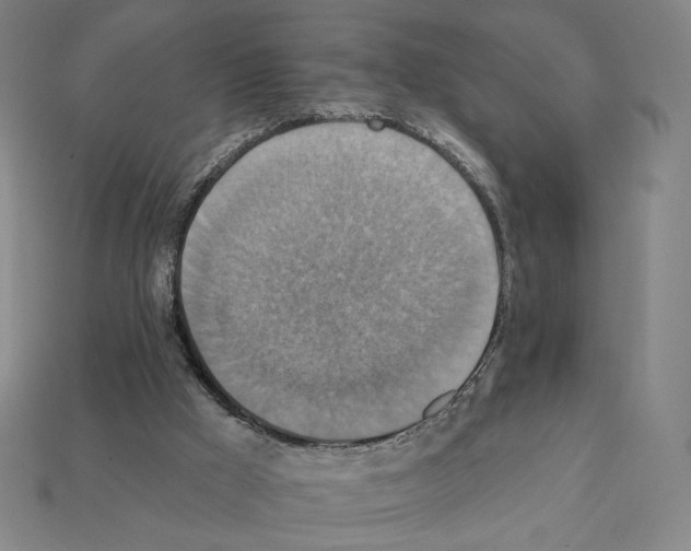 X0000112030009200909141106