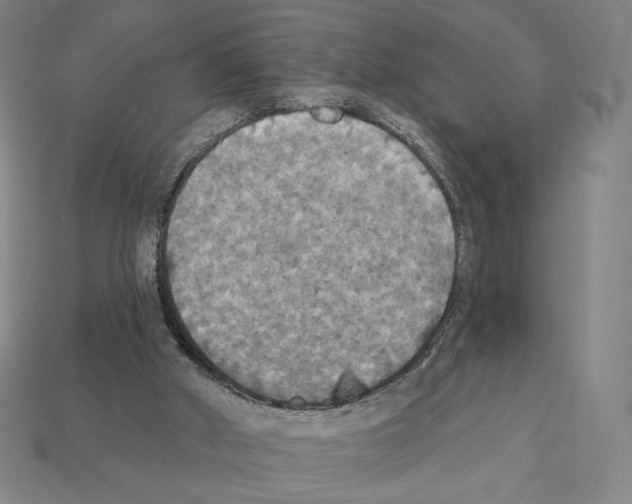 X0000112030010200909141106