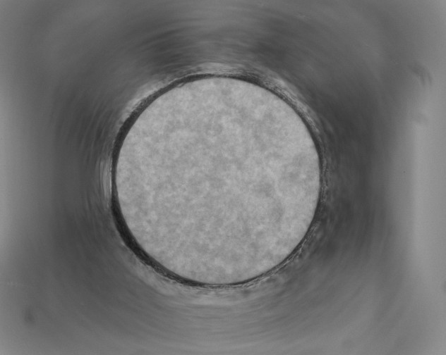X0000112030011200909141106