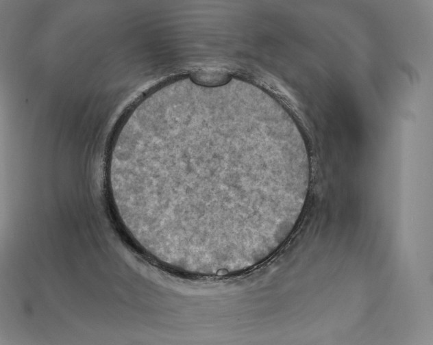 X0000112030012200909141106