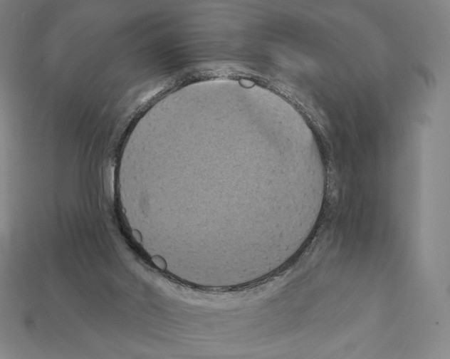 X0000112030014200909141106