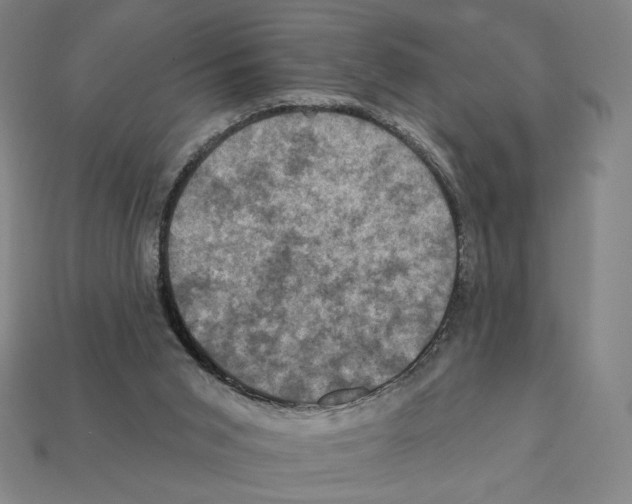X0000112030015200909141106