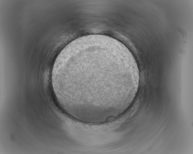X0000112030018200909141106
