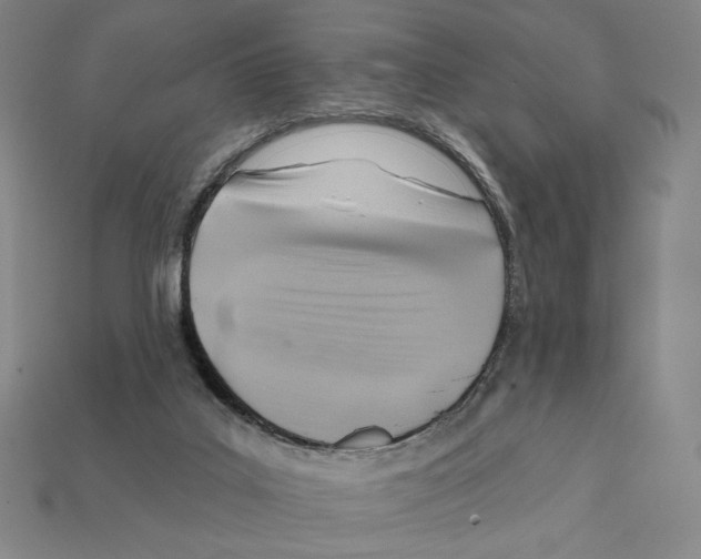 X0000112030019200909141106