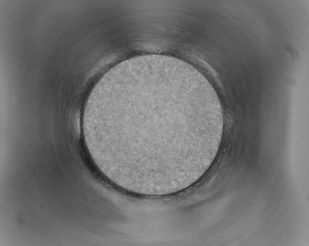 X0000112030020200909141106