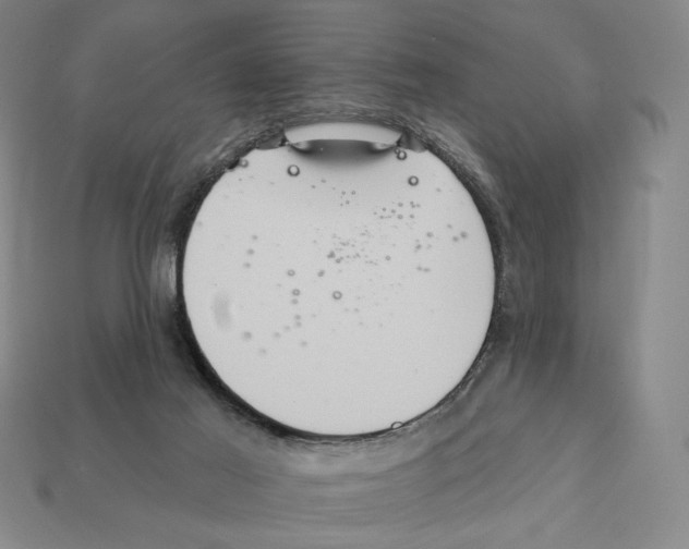 X0000112030021200909141106