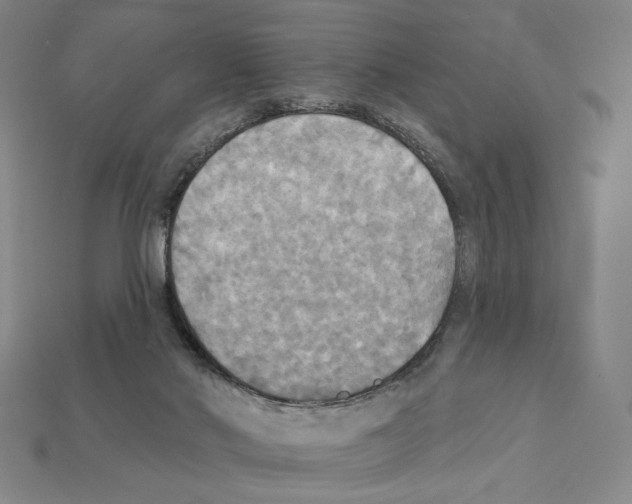 X0000112030022200909141106