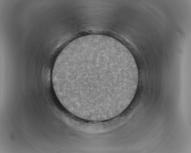 X0000112030024200909141106