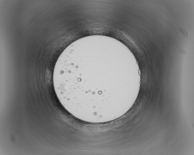 X0000112030025200909141106