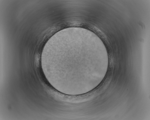X0000112030026200909141106