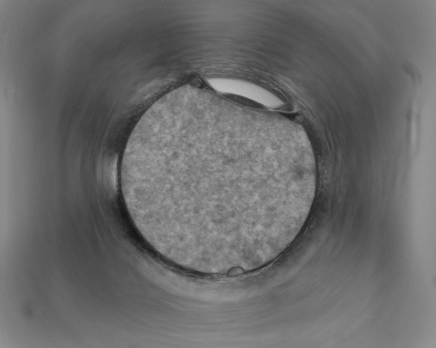 X0000112030028200909141106
