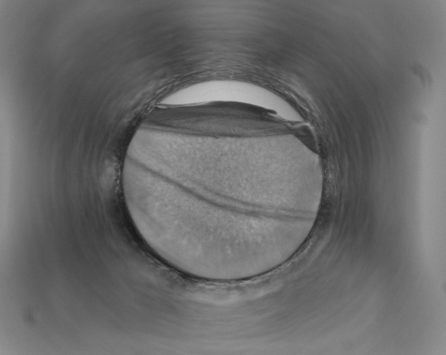 X0000112030029200909141106