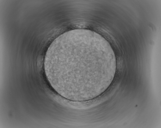 X0000112030030200909141106