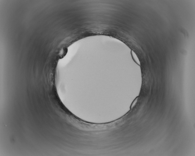 X0000112030031200909141106