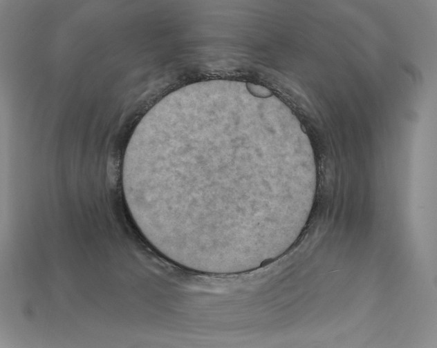 X0000112030033200909141106
