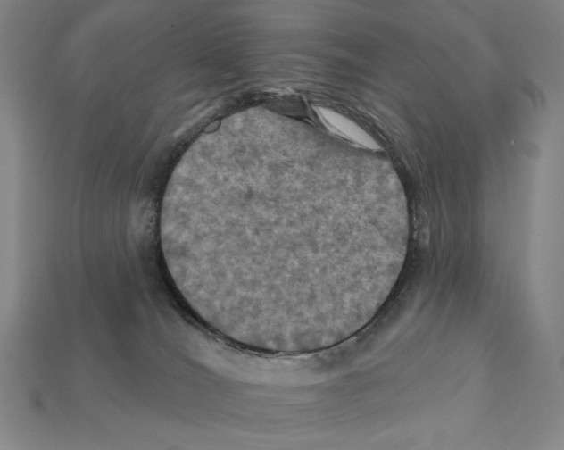 X0000112030036200909141106