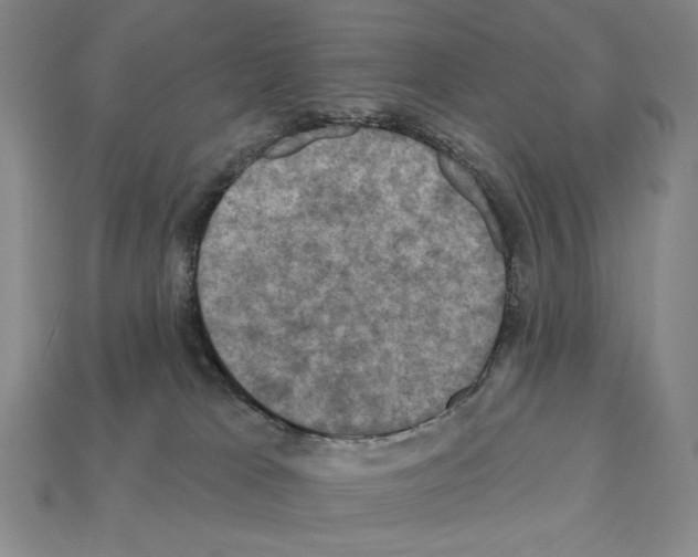 X0000112030037200909141106