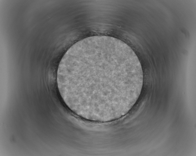 X0000112030040200909141106