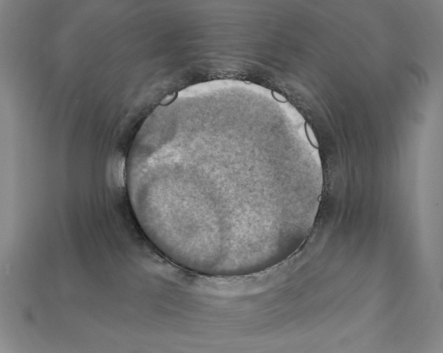 X0000112030041200909141106