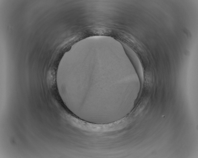 X0000112030043200909141106
