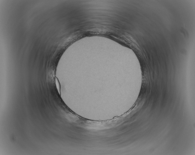 X0000112030045200909141106