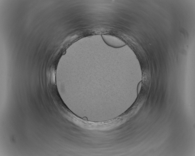 X0000112030046200909141106