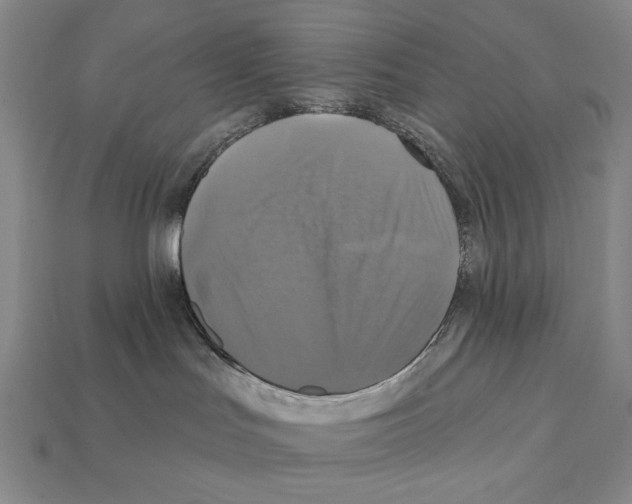 X0000112030047200909141106
