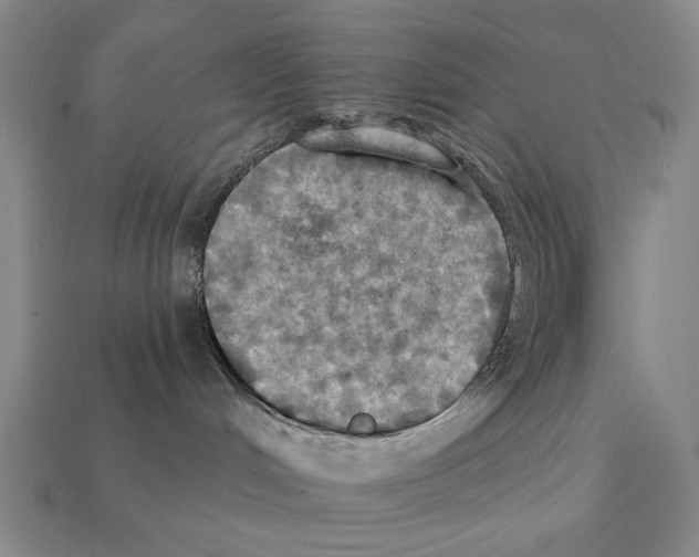 X0000112030048200909141106