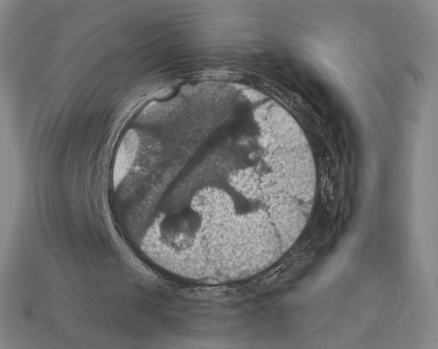 X0000112030049200909141105