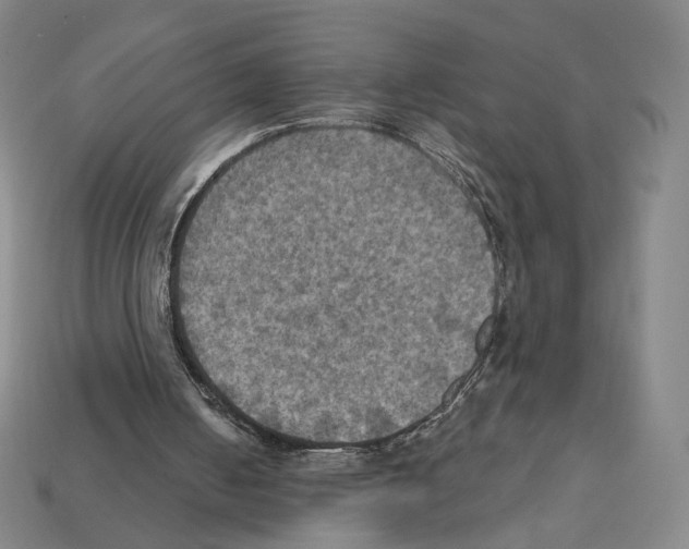 X0000112030050200909141105