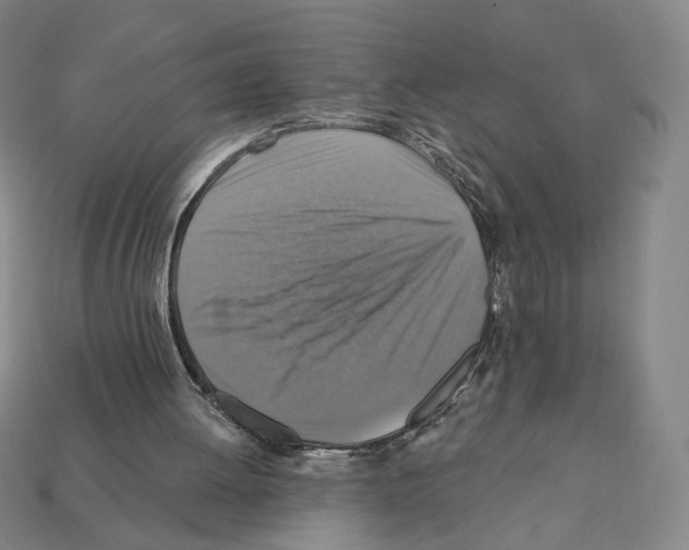 X0000112030052200909141105