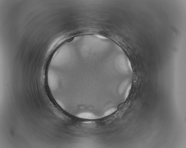 X0000112030053200909141105